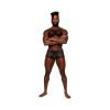 Male Power Sassy Lace Mini Short Sheer Pouch Black S