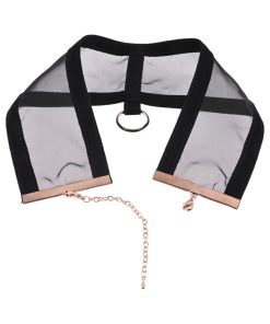 Sportsheets Sex & Mischief Sheer Day Collar
