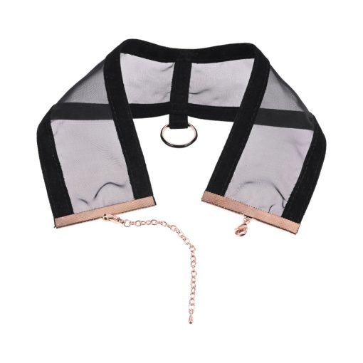 Sportsheets Sex & Mischief Sheer Day Collar - Image 4