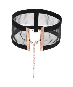 Sportsheets Sex & Mischief Sheer Day Collar