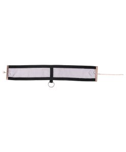 Sportsheets Sex & Mischief Sheer Day Collar