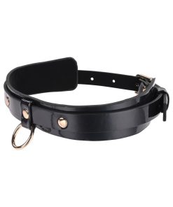 Sportsheets Sex & Mischief Orbit Day Collar