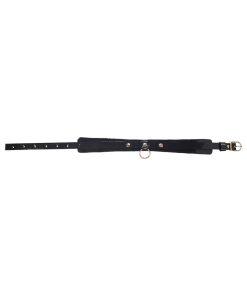 Sportsheets Sex & Mischief Orbit Day Collar