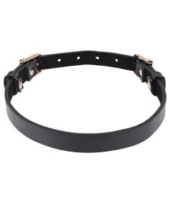 Sportsheets Sex & Mischief Double Buckle Day Collar
