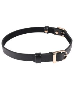 Sportsheets Sex & Mischief Double Buckle Day Collar