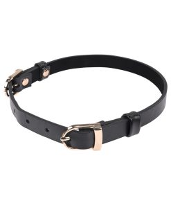 Sportsheets Sex & Mischief Double Buckle Day Collar