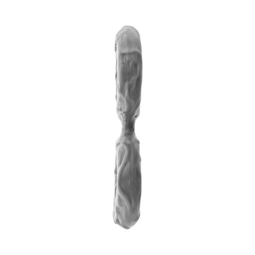 Shaft Model D: Double C-Ring Grey Size 1 - Image 5