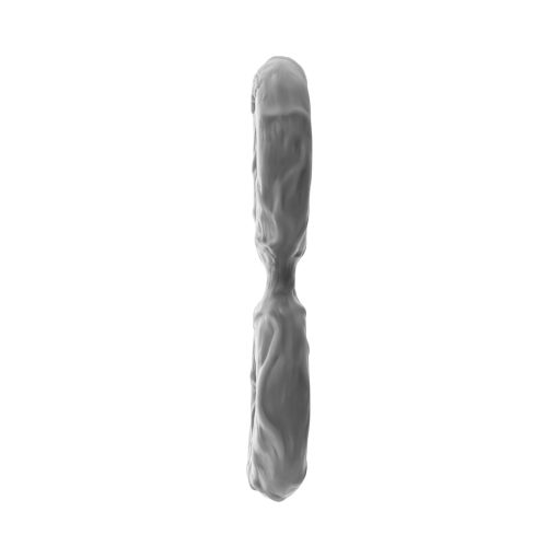 Shaft Model D: Double C-Ring Grey Size 2 - Image 5