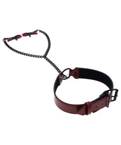 Sportsheets Saffron Collar With Nipple Clamps