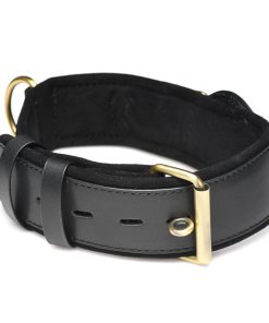Master Series Tracer Tracking Collar