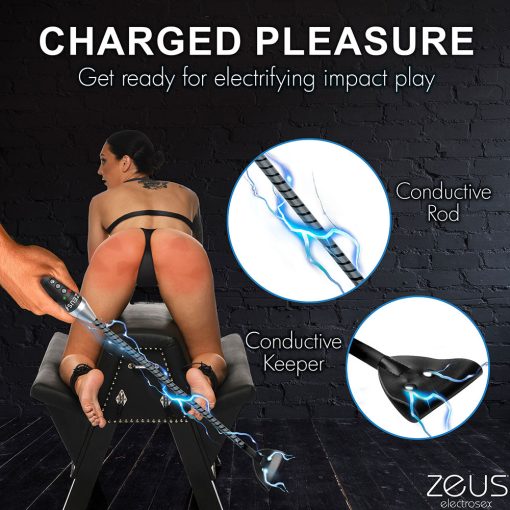 Zeus Electrosex E-Stim Crop - Image 16