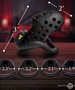 Master Series Lock Down Chastity Cage