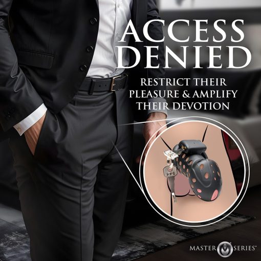 Master Series Lock Down Chastity Cage - Image 18