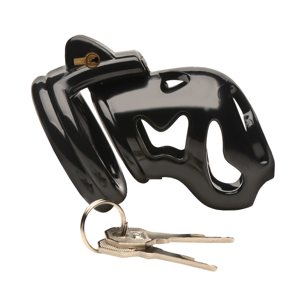 Master Series Double Ring Chastity Cage 2 Master Series Double Ring Chastity Cage - Image 2