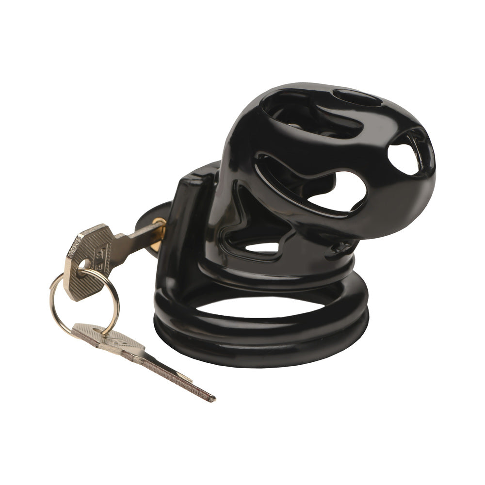 Master Series Double Ring Chastity Cage 3 Master Series Double Ring Chastity Cage - Image 3