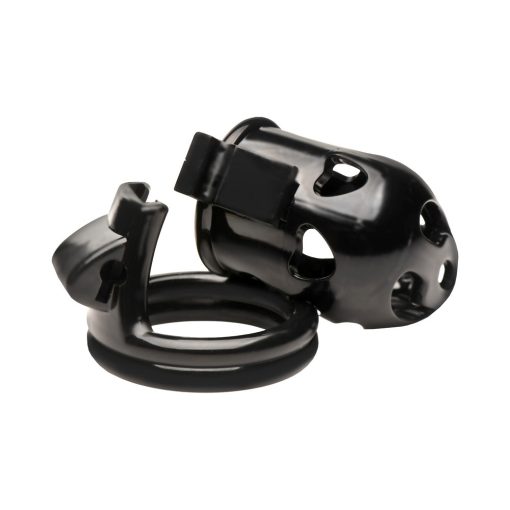 Master Series Double Ring Chastity Cage - Image 6