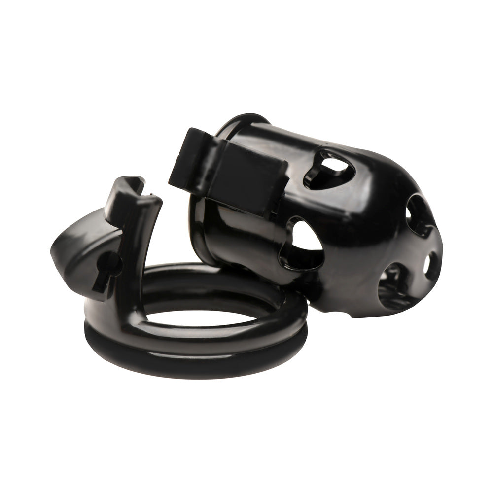 Master Series Double Ring Chastity Cage 6 Master Series Double Ring Chastity Cage - Image 6