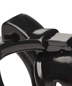 Master Series Double Ring Chastity Cage 20 Master Series Double Ring Chastity Cage