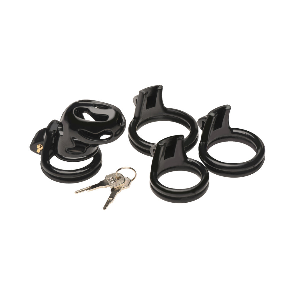Master Series Double Ring Chastity Cage 8 Master Series Double Ring Chastity Cage - Image 8