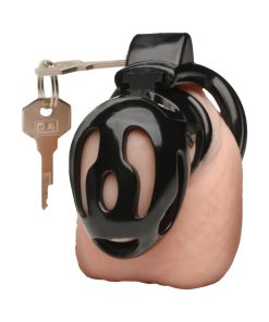 Master Series Double Ring Chastity Cage 27 Master Series Double Ring Chastity Cage