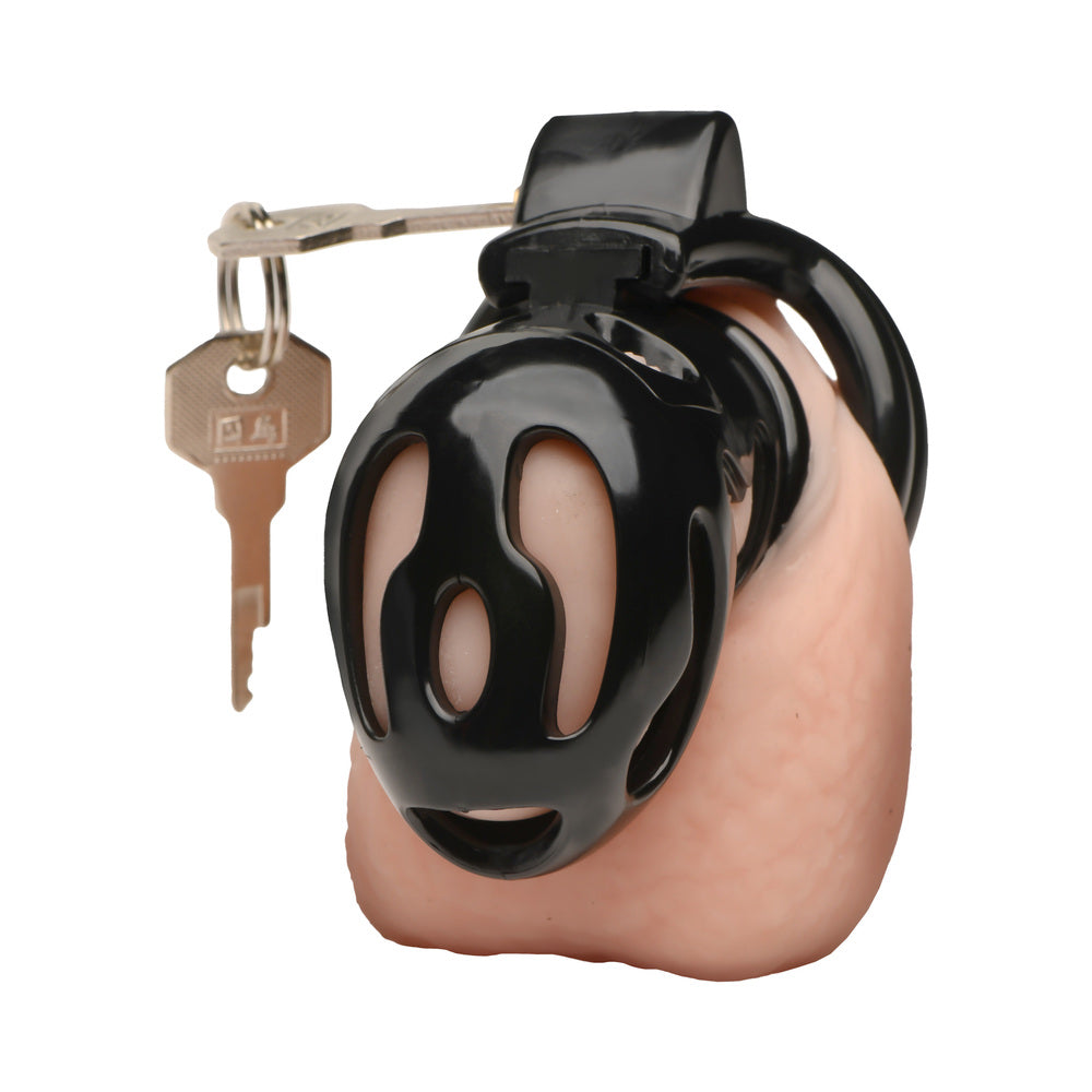 Master Series Double Ring Chastity Cage 14 Master Series Double Ring Chastity Cage - Image 14