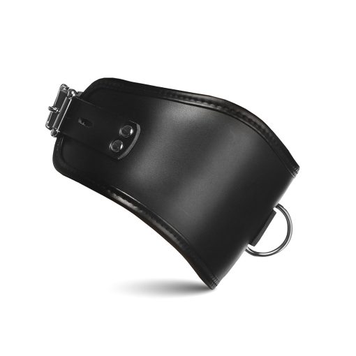 Master Series Hard Stance Padded Locking Posture Collar - Image 2