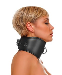 Master Series Hard Stance Padded Locking Posture Collar