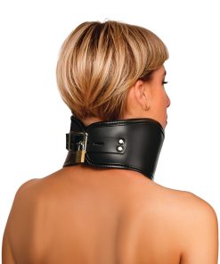 Master Series Hard Stance Padded Locking Posture Collar