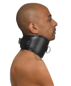Master Series Hard Stance Padded Locking Posture Collar