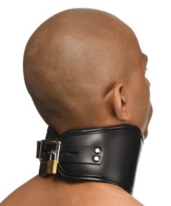 Master Series Hard Stance Padded Locking Posture Collar