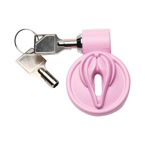 Master Series Vulva Locking Chastity Cage - Image 3