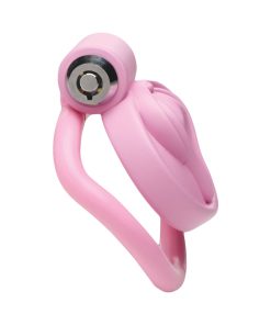 Master Series Vulva Locking Chastity Cage