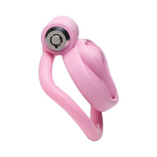 Master Series Vulva Locking Chastity Cage - Image 4