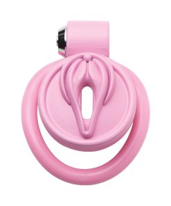 Master Series Vulva Locking Chastity Cage