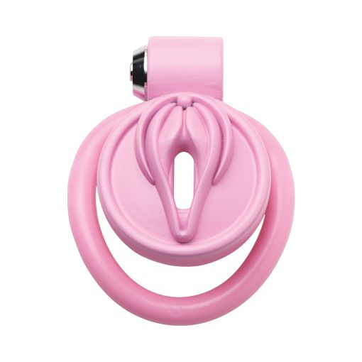 Master Series Vulva Locking Chastity Cage - Image 5