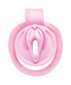 Master Series Vulva Locking Chastity Cage