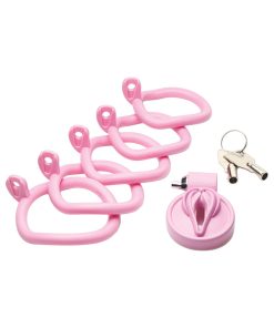 Master Series Vulva Locking Chastity Cage