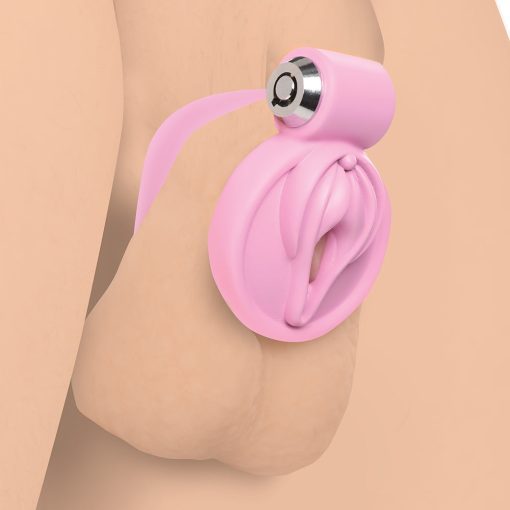 Master Series Vulva Locking Chastity Cage - Image 8