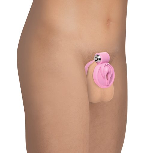 Master Series Vulva Locking Chastity Cage - Image 9