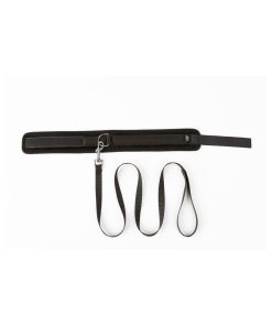 Sei Mio Take The Lead Padded Neck Collar And Leash