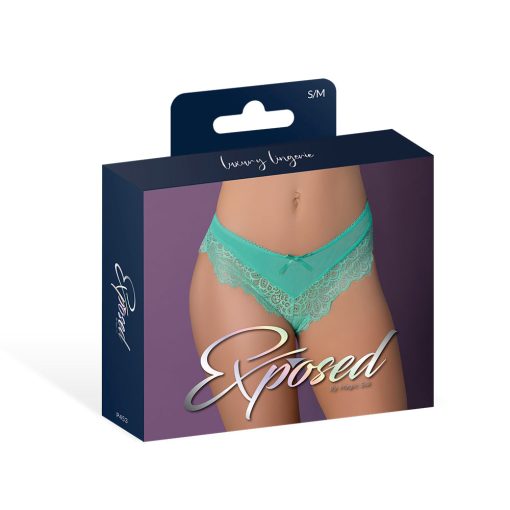 Magic Silk Caribbean Crush Low Rise Cheeky Panty Aqua Glow S/M - Image 5