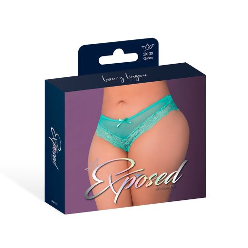 Magic Silk Caribbean Crush Low Rise Cheeky Panty Aqua Glow Queen Size - Image 5