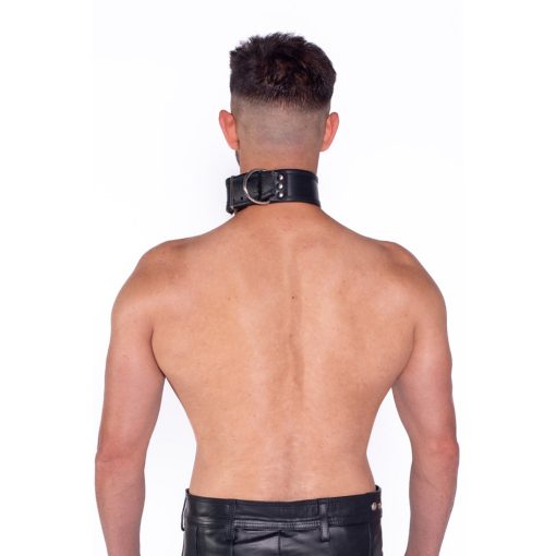 Prowler Red Leather Collar L/Xl - Image 3