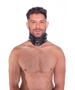 Prowler Red Leather Posture Collar S/M