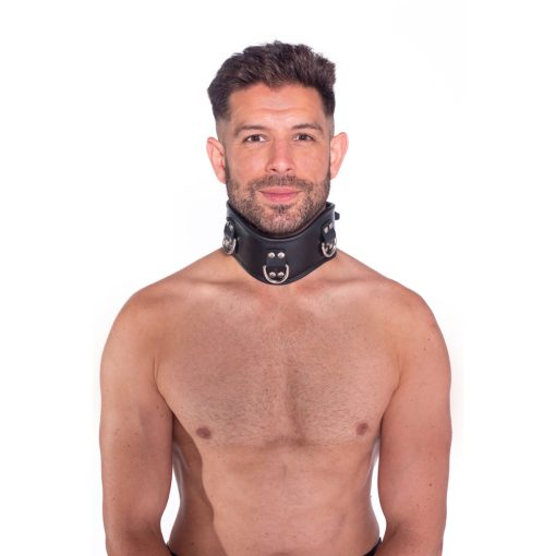 Prowler Red Leather Posture Collar S/M