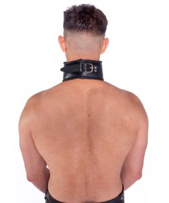 Prowler Red Leather Posture Collar L/Xl