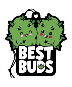Alternative view of Wood Rocket Air Freshener Best Buds