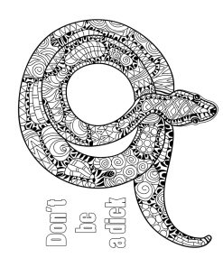 The Swear Word Coloring Book