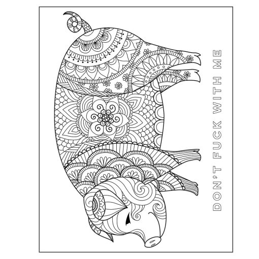 The Swear Word Coloring Book - Image 6