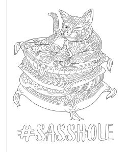 F*Ck You Very Much Coloring Book